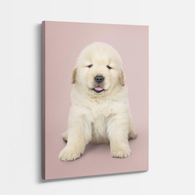 cuadro canvas mascotas nube dorada vertical