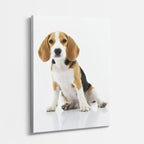 cuadro canvas mascotas beagle noble vertical