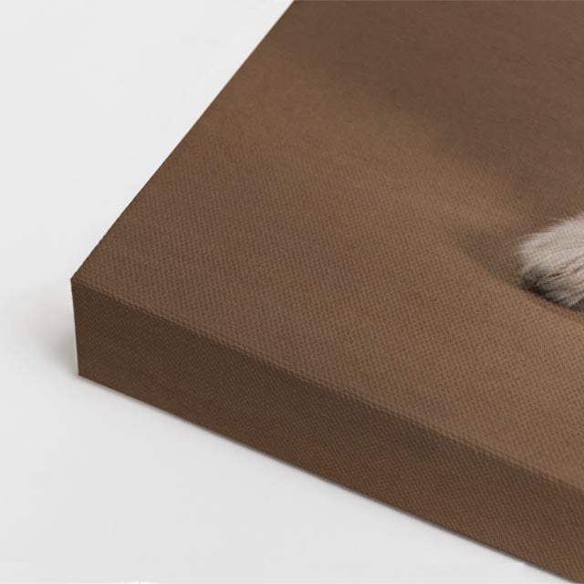 cuadro canvas mascotas bernés clásico vertical