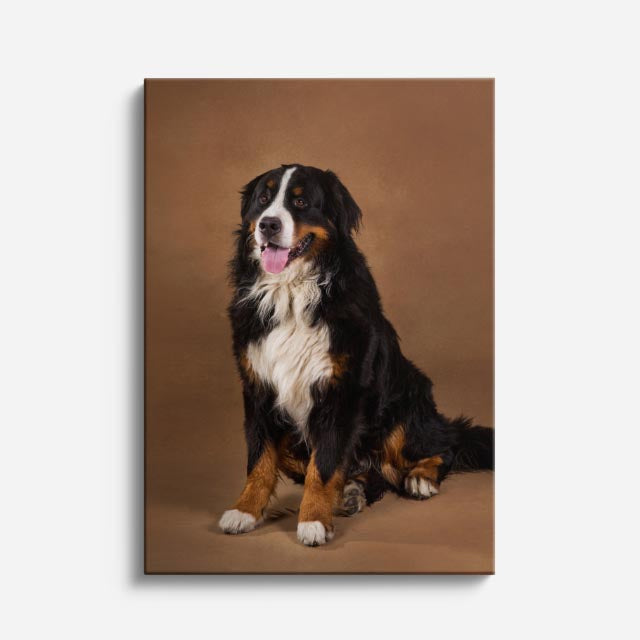cuadro canvas mascotas bernés clásico vertical