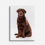 cuadro canvas mascotas labrador cacao vertical