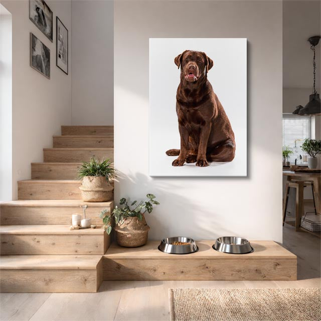cuadro canvas mascotas labrador cacao vertical