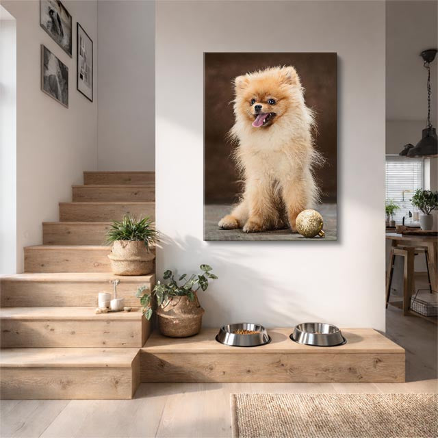 cuadro canvas mascotas pomerania de seda vertical