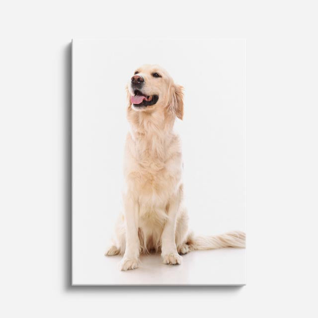 cuadro canvas mascotas guardia blanco vertical