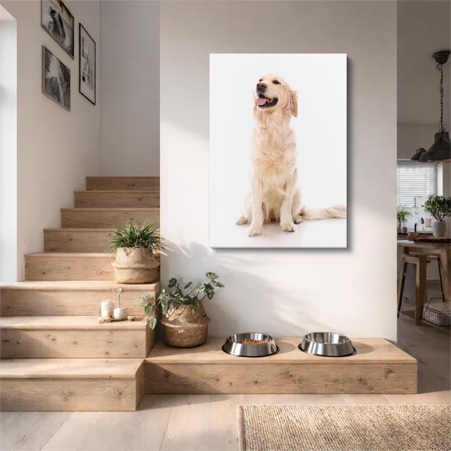 cuadro canvas mascotas guardia blanco vertical