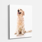 cuadro canvas mascotas guardia blanco vertical