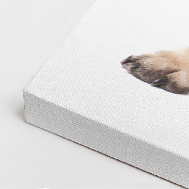 cuadro canvas mascotas pug de marfil vertical