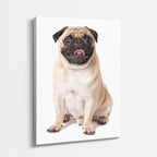 cuadro canvas mascotas pug de marfil vertical