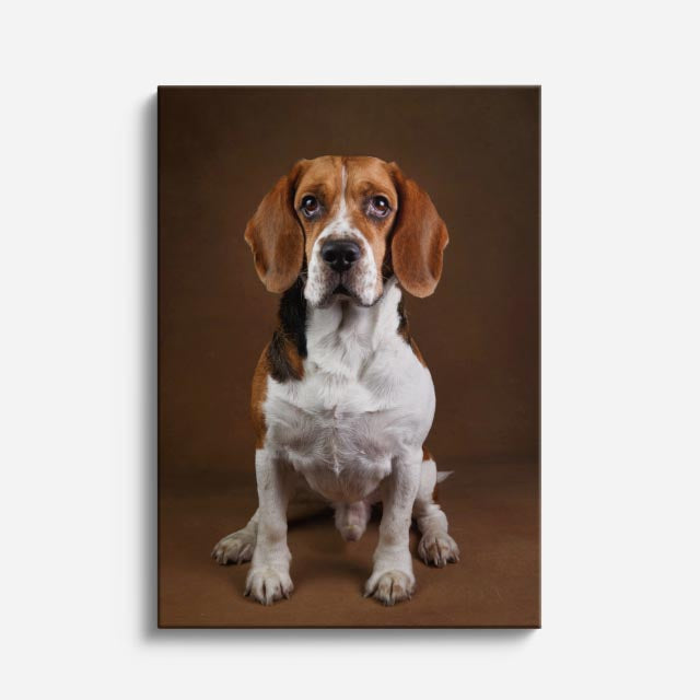 cuadro canvas mascotas retrato del beagle vertical
