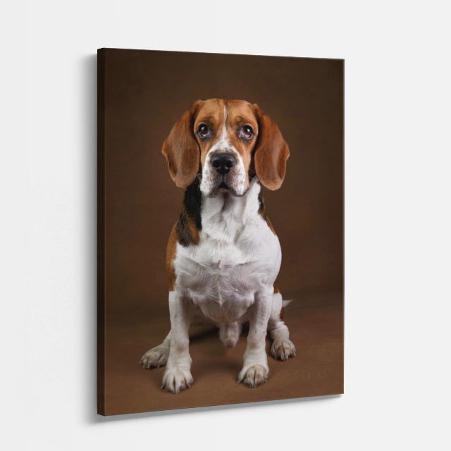 cuadro canvas mascotas retrato del beagle vertical