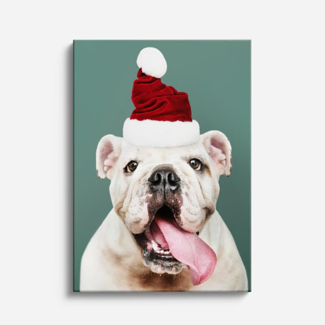 cuadro canvas mascotas bulldog de invierno vertical