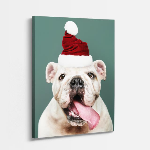 cuadro canvas mascotas bulldog de invierno vertical