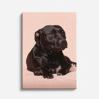 cuadro canvas mascotas labrador de terciopelo vertical