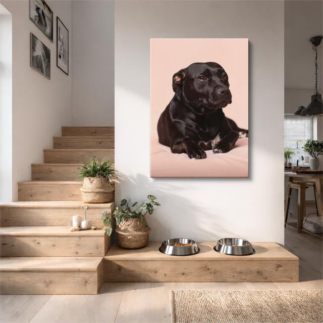 cuadro canvas mascotas labrador de terciopelo vertical