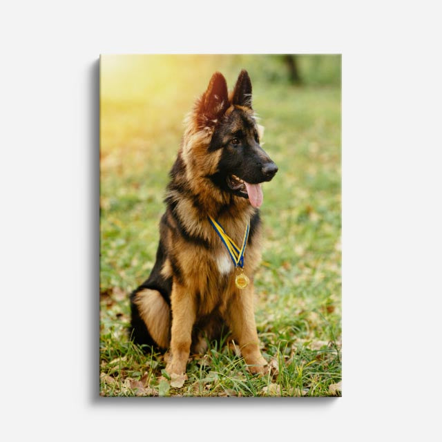 cuadro canvas mascotas pastor de otoño vertical
