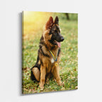 cuadro canvas mascotas pastor de otoño vertical