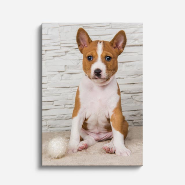 cuadro canvas mascotas príncipe basenji vertical
