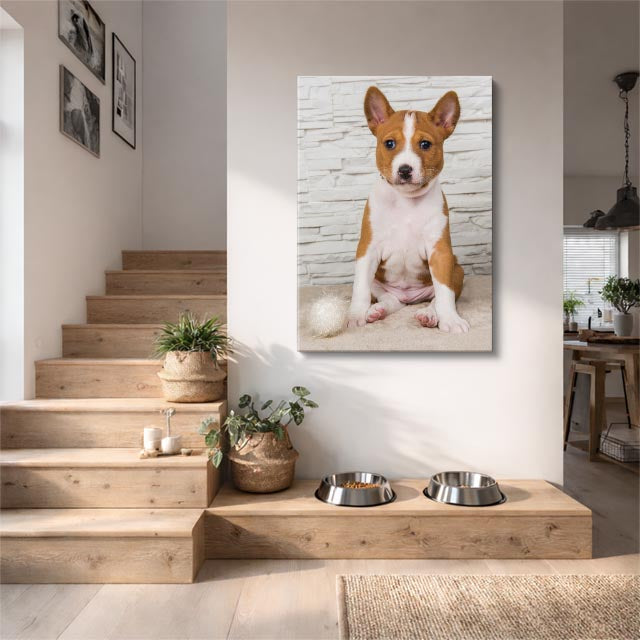 cuadro canvas mascotas príncipe basenji vertical