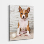 cuadro canvas mascotas príncipe basenji vertical