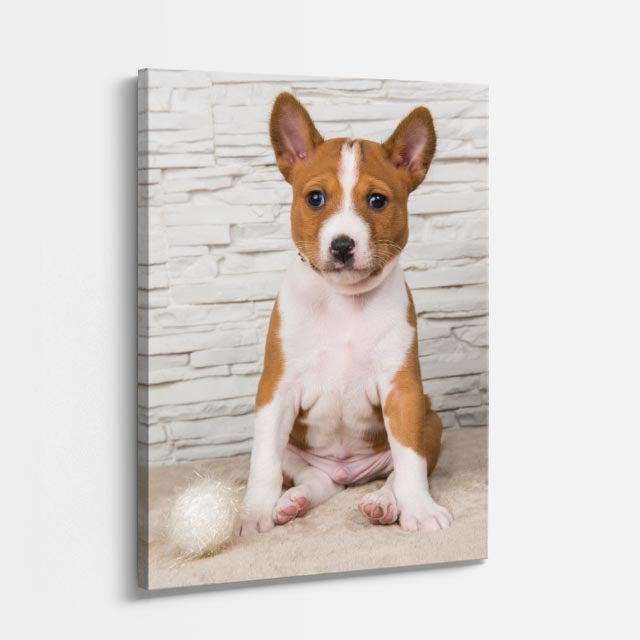 cuadro canvas mascotas príncipe basenji vertical