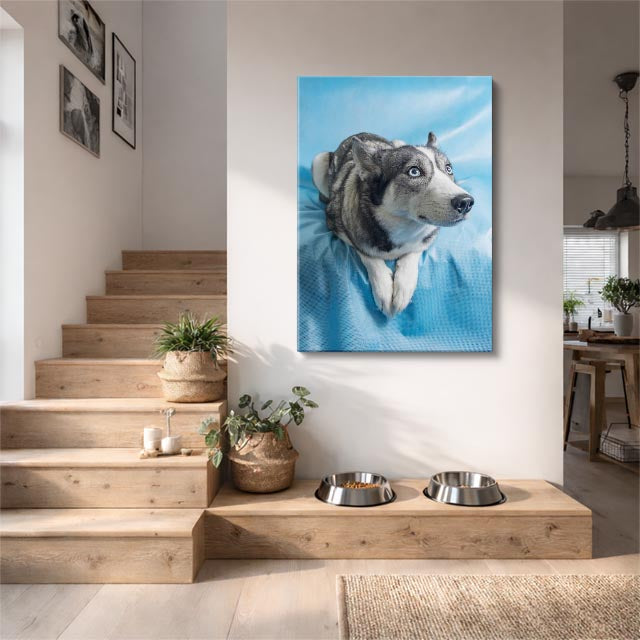 cuadro canvas mascotas husky celeste vertical
