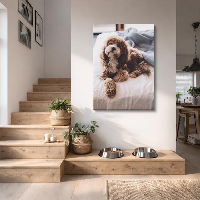 cuadro canvas mascotas nube de cacao vertical