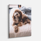 cuadro canvas mascotas nube de cacao vertical