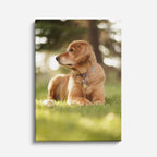 cuadro canvas mascotas cachorro de pradera vertical