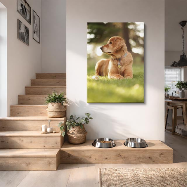 cuadro canvas mascotas cachorro de pradera vertical