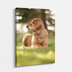 cuadro canvas mascotas cachorro de pradera vertical