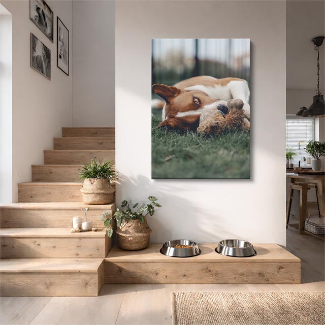 cuadro canvas mascotas sueño de beagle vertical
