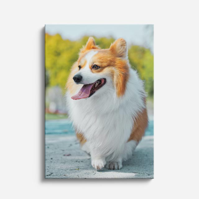 cuadro canvas mascotas corgi de invierno vertical