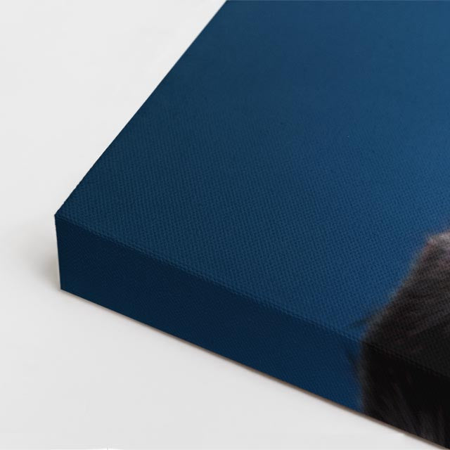 cuadro canvas mascotas teckel nocturno vertical