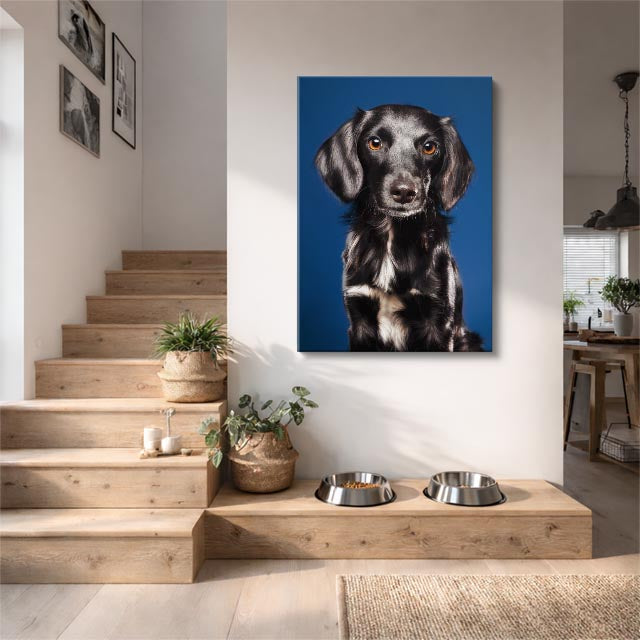 cuadro canvas mascotas teckel nocturno vertical