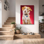 trovador canino