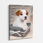 aprendiz terrier