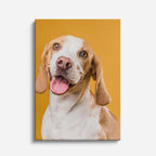 sonrisa del beagle
