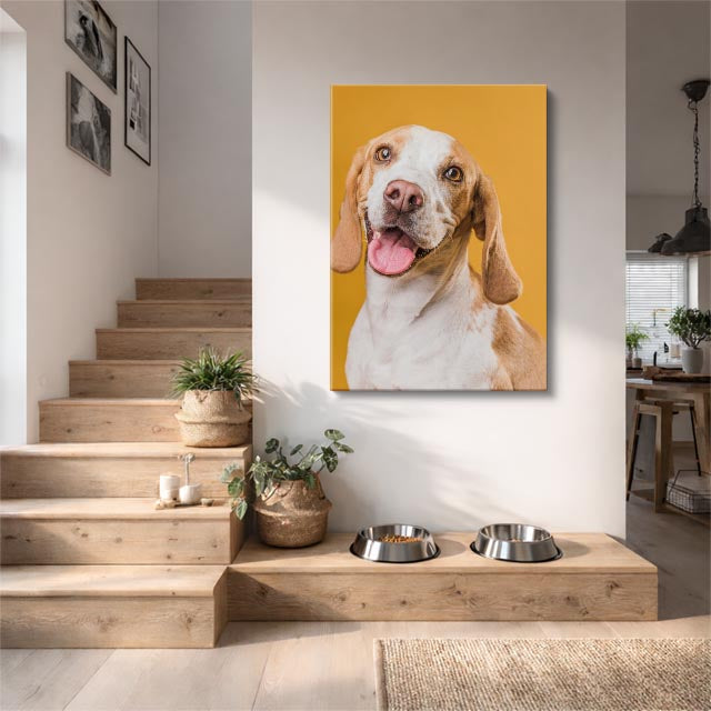 sonrisa del beagle