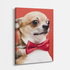 caballero chihuahua