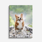 pequeno corgi