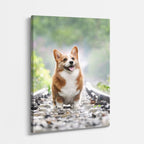 pequeno corgi