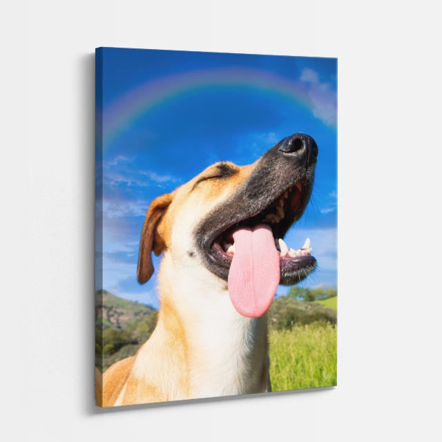cazador del arcoiris