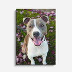 sonrisa pitbull