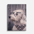 sabio terrier