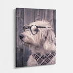 sabio terrier