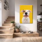 pitbull dorado