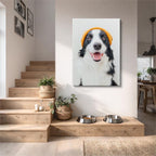 collie feliz