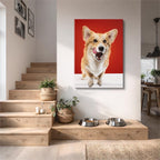 corgi sonriente