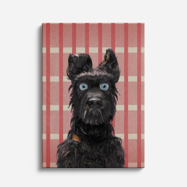 terrier escoces