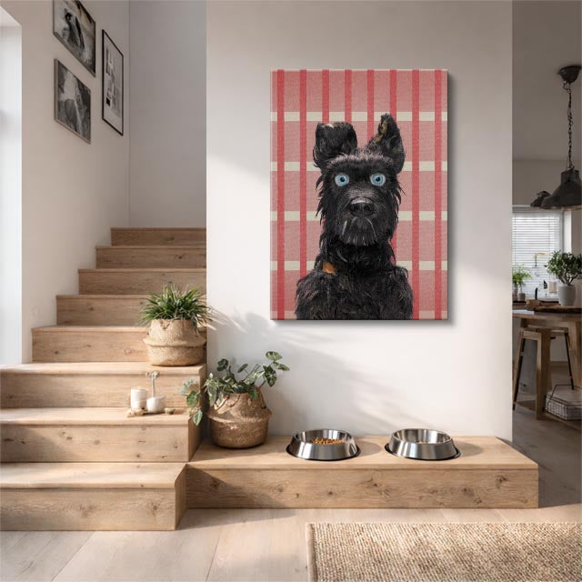 terrier escoces